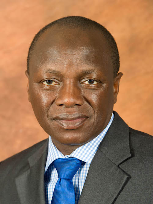 Minister of DPSA Collins Chabane